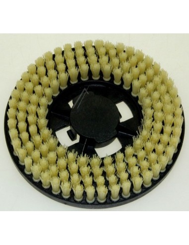 Brosse Blanche pour Cireuse  Electrolux