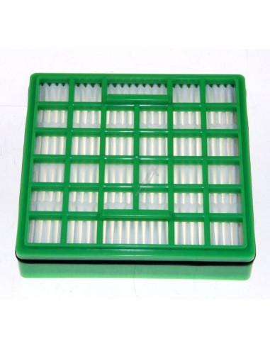 Filtre HEPA pour Aspirateurs Intesium / Intensium Upgrade Rowenta