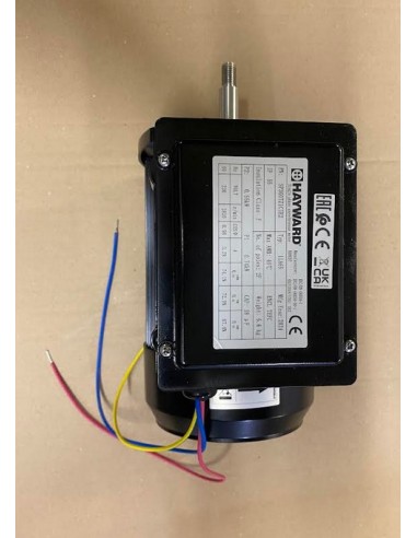 Moteur pour Pompe Hayward