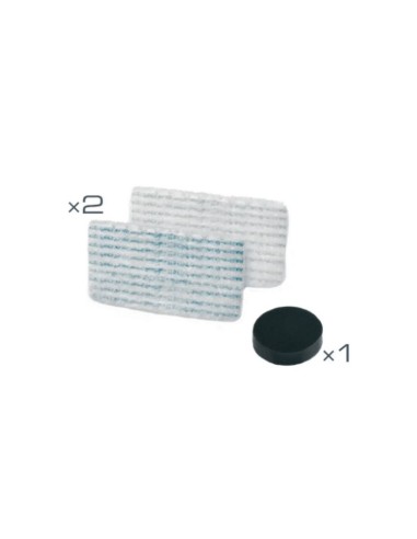 Lingette*2+Filtre mousse Pour Aspirateur/Nettoyeur Vapeur Clean & Steam Rowenta
