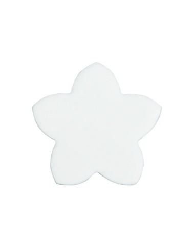 Kit 20 smelly flowers Pour Aspirateur/Nettoyeur Vapeur Clean & Steam Rowenta