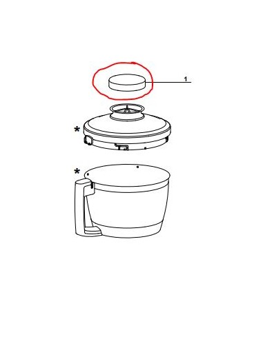 BOUCHON COUVERCLE V1 pour robot 6200XL