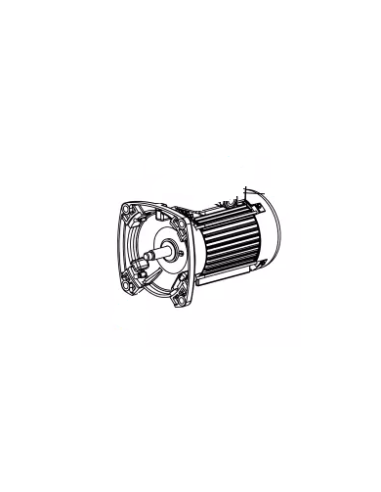 Moteur pour Pompe de Filtation Hayward