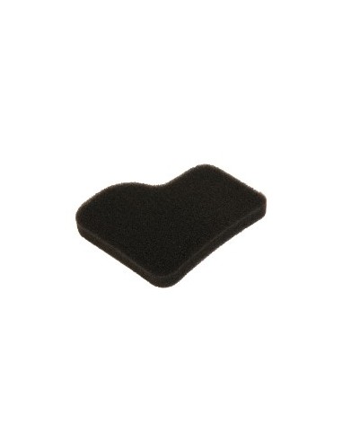 Filtre pour Aspirateur COMPACTEO ERGO MOULINEX