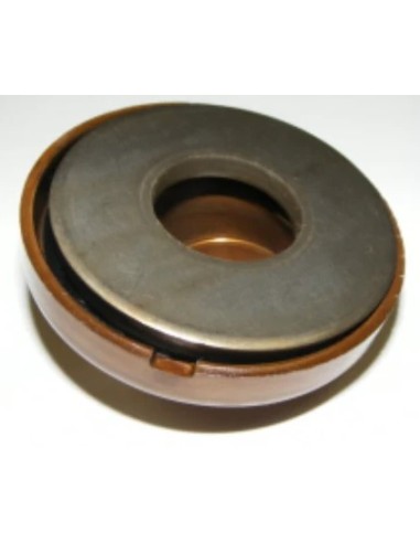 Disque en Nutation pour Nettoyeur Haute Pression Karcher