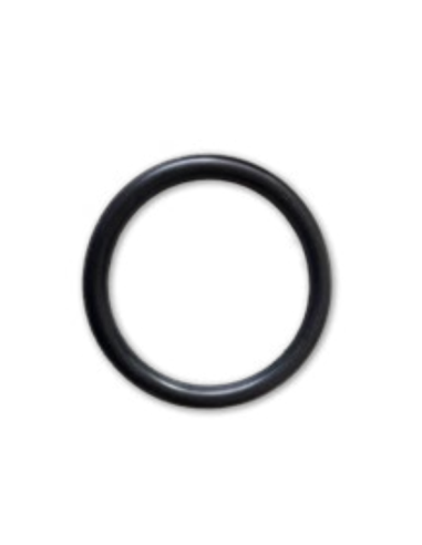 Joint Torique (Ø48-5mm) pour Pompes à Chaleur EnergyLine Pro Toute Saison ENP6MASC Hayward