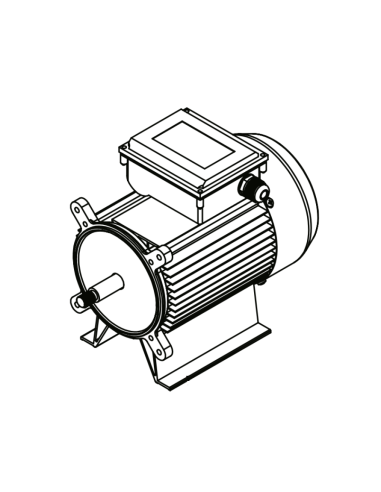 Moteur pour Pompe Hayward