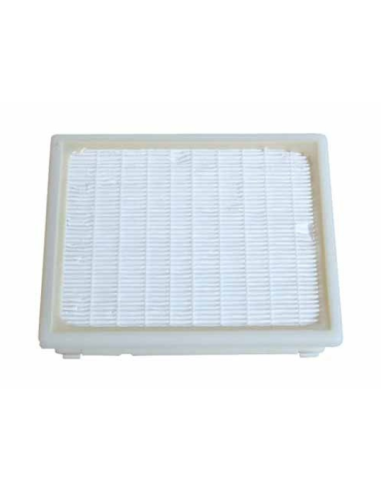 Filtre Permanent F2 pour Aspirateur Electrolux