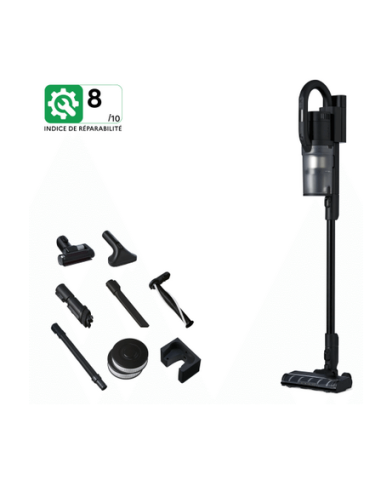 Aspirateur Balai S1 Pet Care Nilfisk