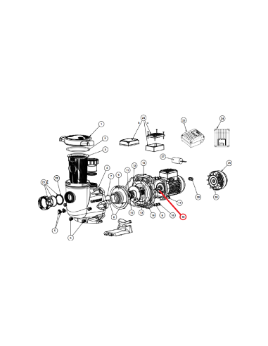 Moteur pour Pompe Tristar Hayward