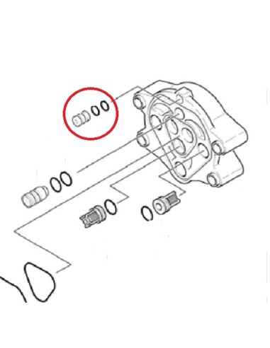 Bague d'Etanchéité pour Nettoyeur Haute Pression Karcher