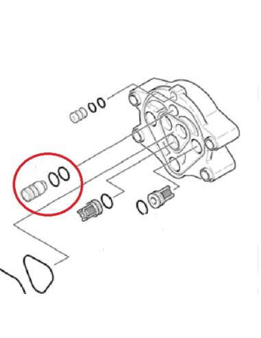 Soupape pour Nettoyeur Haute Pression Karcher