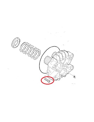 Vis pour Nettoyeur Haute Pression Eau Karcher