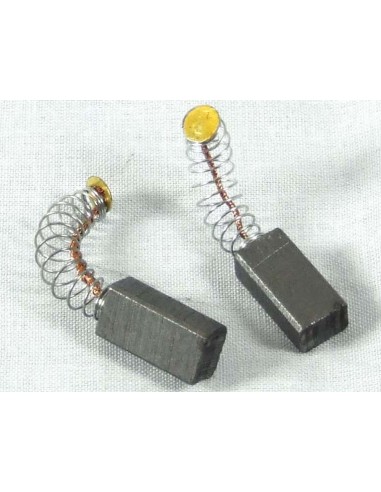 Charbons x2 pour Robots Multipro Metal KENWOOD