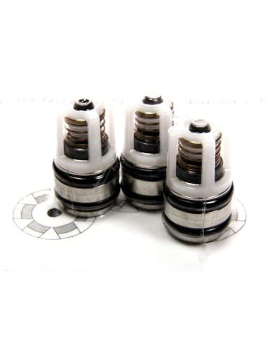 Soupapes + Joints x 3 pour Nettoyeur Haute Pression Kärcher