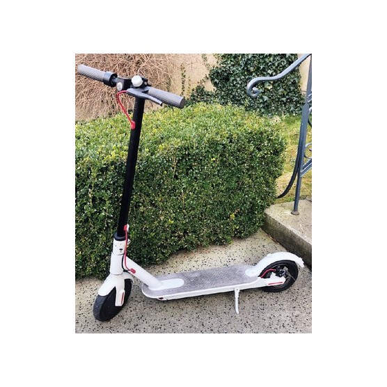 Trottinette Electrique Wee Move