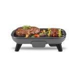 Plancha et grill