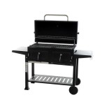 Barbecue - Charbon de bois