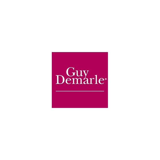 Guy Demarle 