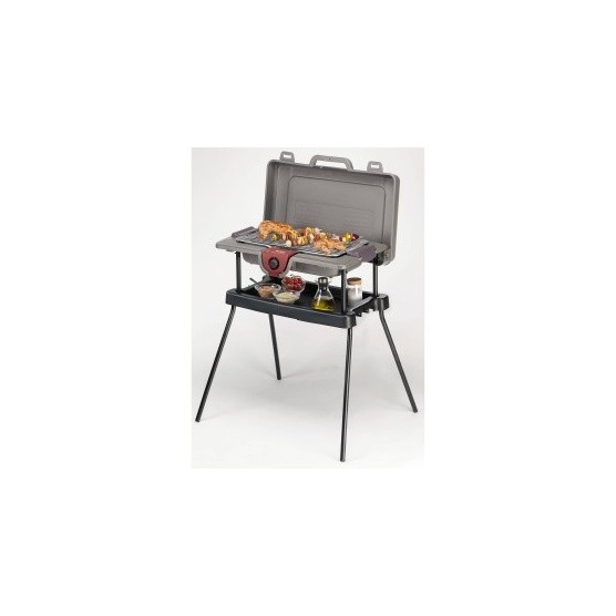 Barbecue TEFAL GRILL'N PACK Type 2335 (S) Tefal
