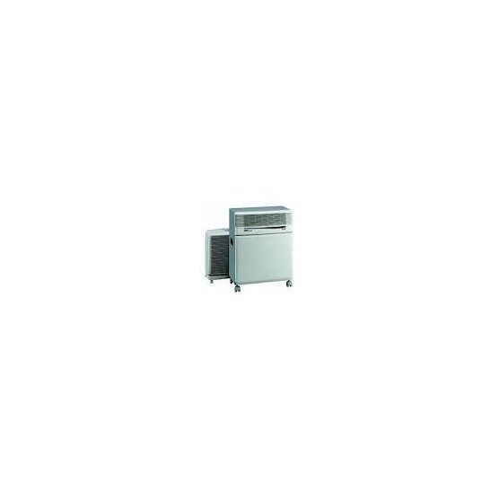 Climatiseur PINGUINO S 1000 DELONGHI