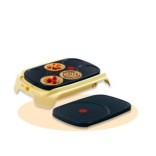 Crepiere dual successor type 1348 serie 1 Tefal 