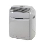 Climatiseur PAC70ECO DELONGHI