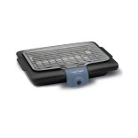 Barbecue Accessimo Blue Salt BG134812 Moulinex 