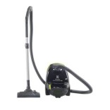 Aspirateur Traineau ESGREEN Electrolux 