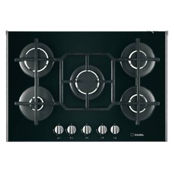 Plaque de Cuisson T495G Sholtes