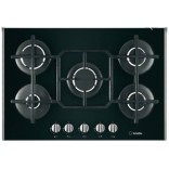 Plaque de Cuisson T495G Sholtes