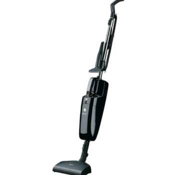 Repasseuses Miele