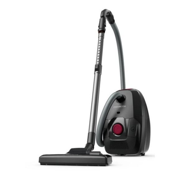 Aspirateur Traineau GREEN FORCE MAX ROWENTA